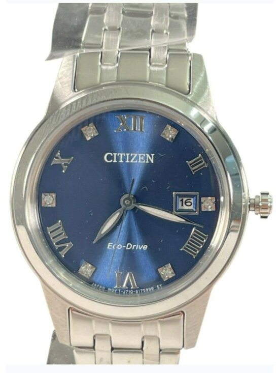 Citizen Eco-Drive 29MM Stainless Steel Bracelet Watch FE1240-57L Wmn\'s $350 NEW main image 7